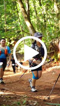 BIB:  <button type="button" onclick="openModal(27821896)" class="btn btn-primary btn-sm float-right" data-toggle="modal" data-target=".modal-high-quality">
                <i class="fa fa-download"></i> Download
                </button>